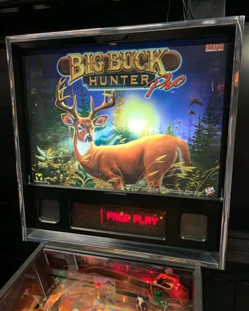 Big Buck Hunter Flipper STERN Occasion